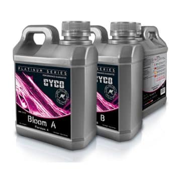 Cyco Bloom