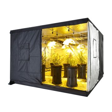 Jungle Room 8x8 Grow Tent