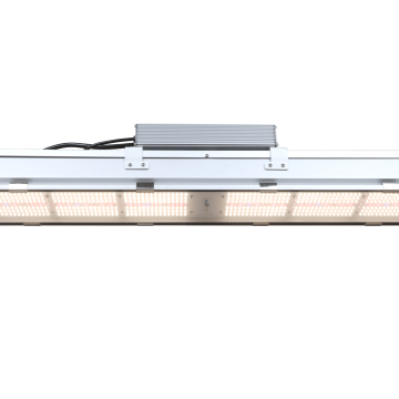 Techplex Full Spectrum Greenhouse Grow Light illuminating a lush indoor garden setup, showcasing its powerful 600W output.