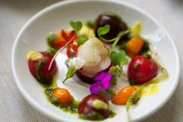 Microgreen Salad Garnish